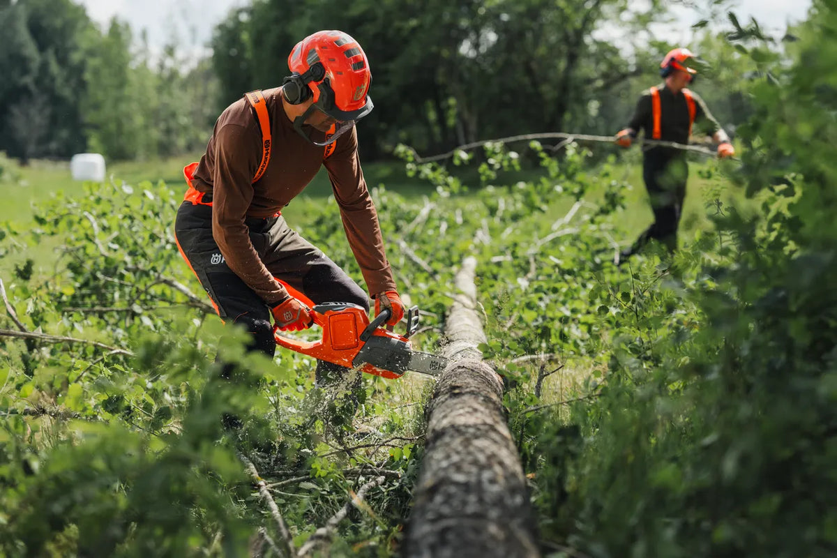 Husqvarna 435i motorsav – 35 cm, uden batteri – To arbejdere i et skovmiljø, hvoraf den ene bruger en motorsav til at fælde et væltet træ.