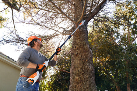 Stihl HTA 50
