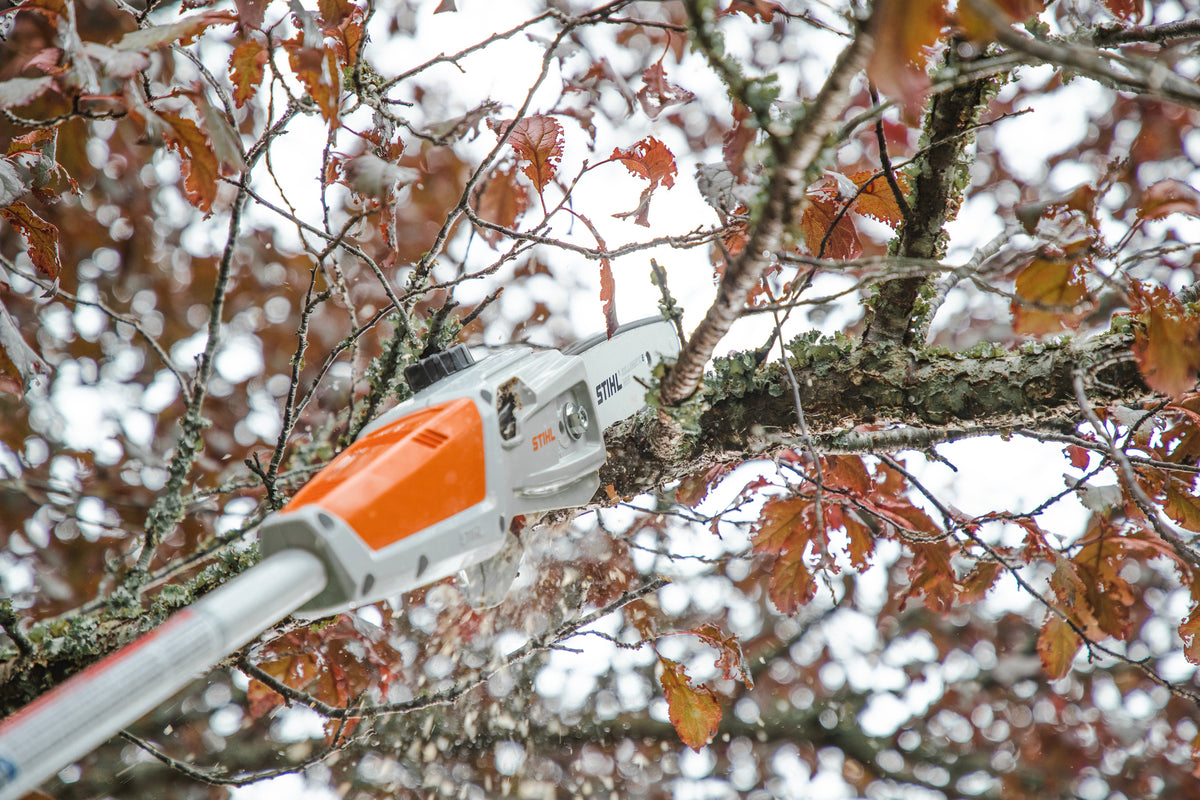 Stihl HTA 50 SET