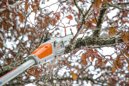 Stihl HTA 50 SET