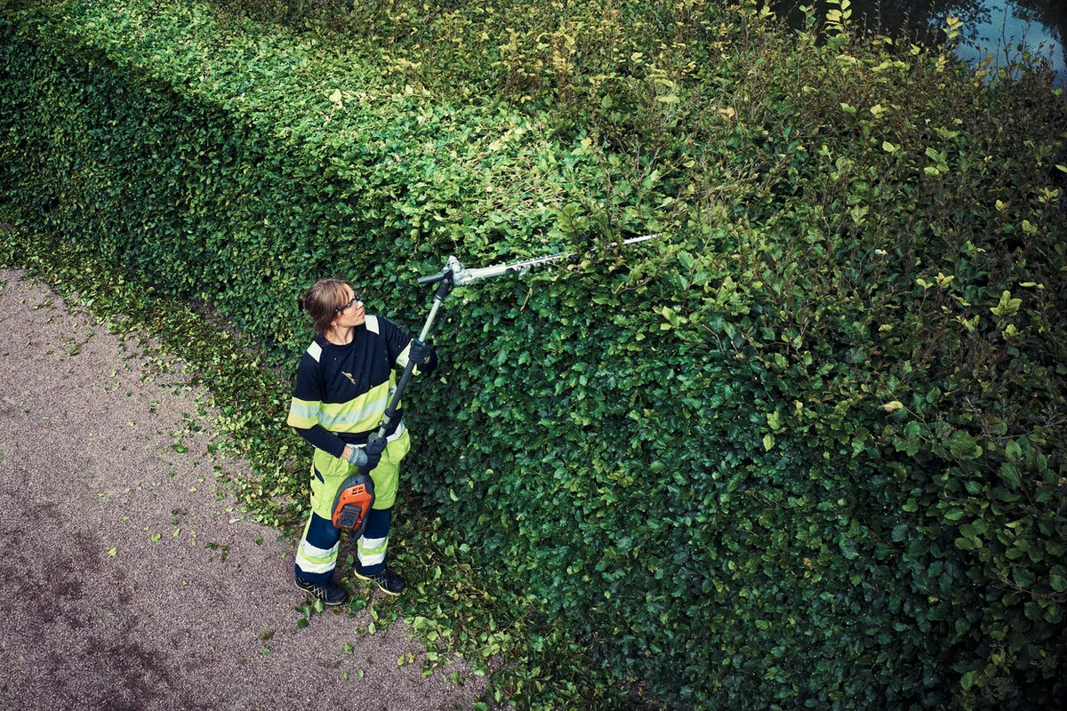 Husqvarna 525iHE3 stanghækkeklipper – uden batteri – En person, der bruger en hækkeklipper til at trimme toppen af en tæt hæk i en have.